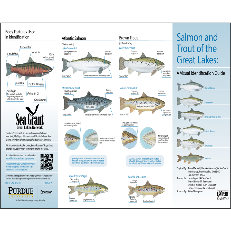 Salmon and Trout of the Great Lakes – Publications